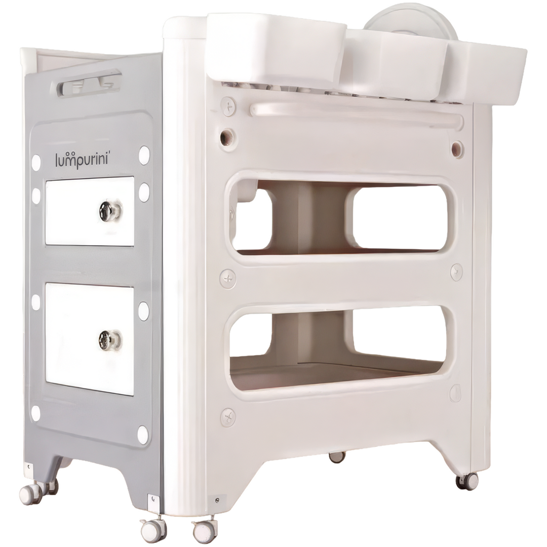 BABY CARE DRESSER - 2-IN-1 CHANGING TABLE WITH STORAGE SYSTEM